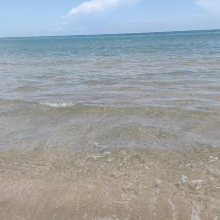 Le Rondini Trani